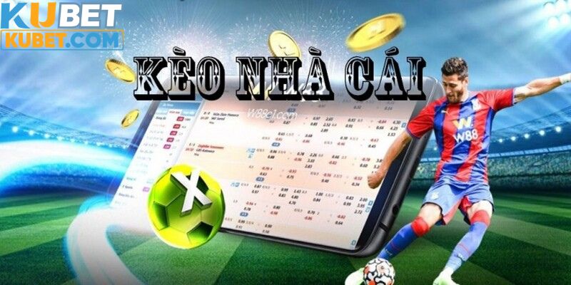 Ảnh bìa kèo nhà cái kubet